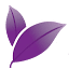 daphnelaser.com