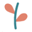 democracypolicy.network