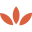 mywildharvest.com