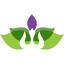 namasteinteractive.com