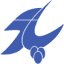 parscoders.com