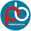 proborneo.com