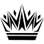 propipper.com