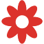 rarefindnursery.com