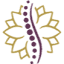 spinalpchiro.com