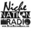 thenichecarolinamagazine.com