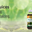 thevedicstore.com