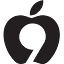 apple9.com
