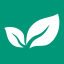 bmn.co.nz
