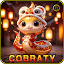 cobra-ty.com