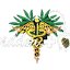 forbiddenmeds.ca
