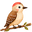 funacrylic.com