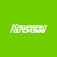 kawasakininja300.com