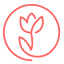 madeleinemarket.com