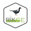 riksegolf.com