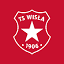 wislakrakow.com