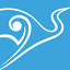 cerebralpalsy.org.nz