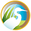 evergladescoalition.org