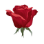 isabellafrappier.com