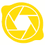 lemoncams.com