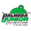 palmerajunior.com