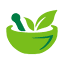 roymedical.com