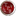 thepurebed.com