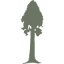 visitsequoia.com