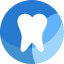 aviadental.com