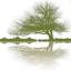 balancedharmony.net