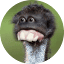 bbqsoftwares.com