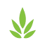bio-mc.com