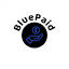 bluepaid.com
