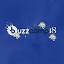 buzzcamp.ro