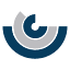carriocabling.com