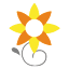 ecuadorflores.com