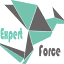 expertforce.com