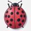 insects4sale.com