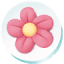 myneighboralice.com