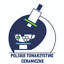 ptcer.pl