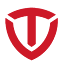 tailg.com.cn