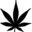 topshelfexpress.co