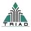 triad.net.au