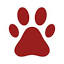 williamsportwestvet.com