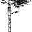 birch-logs.com