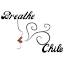 breathe-chile.com