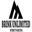 brinkunlimited.com