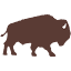 buffalocampers.com