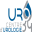chirurgie-urologique.com