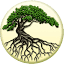 deeproot.co.uk